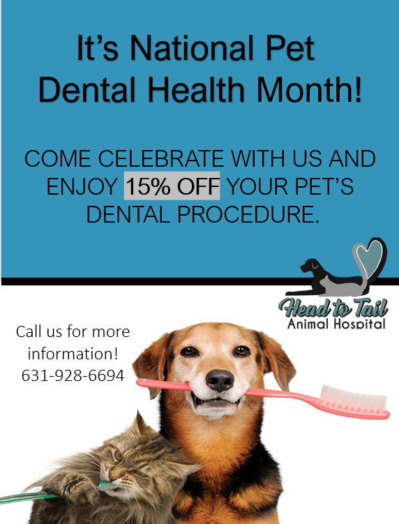 Dental Health month